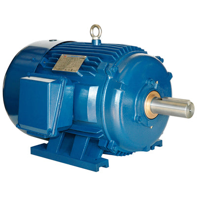 Electric Motors